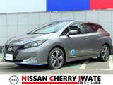 日産 リーフ e+ G 純正ナビ　プロパイロット セグ欠なし