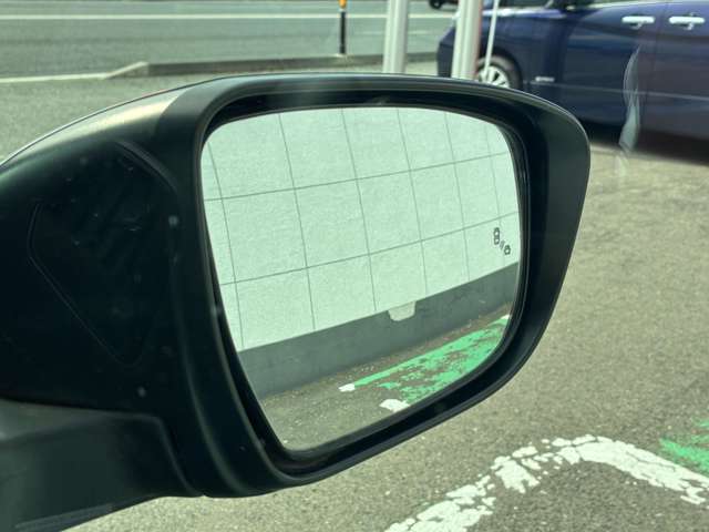 複数画像41