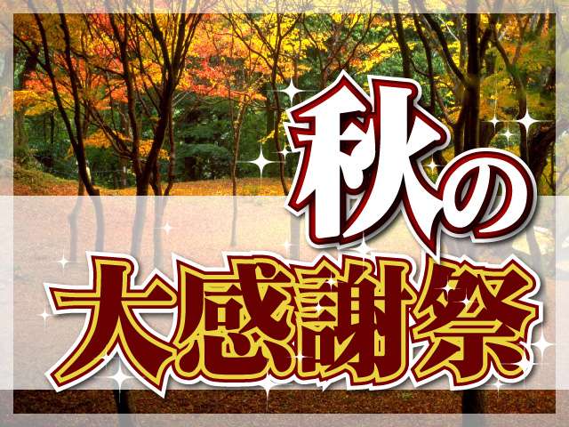 複数画像30