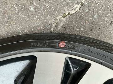 複数画像11
