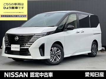 2.0 ハイウェイスターV ※※雹害車※※メーカーナビ　全周囲カメラ