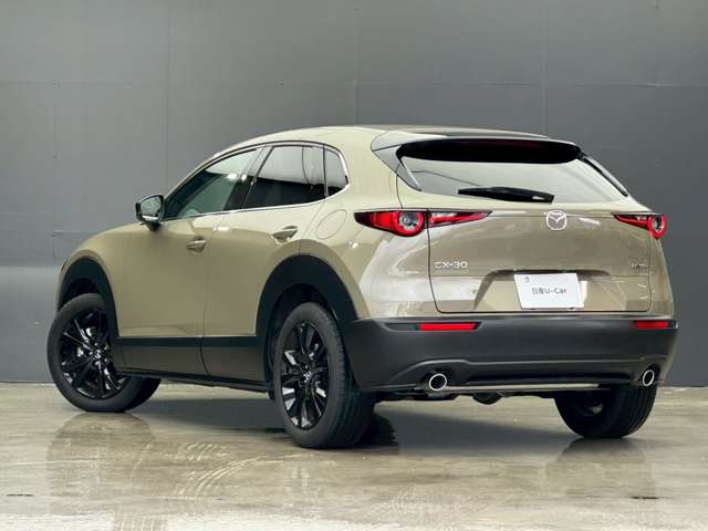 複数画像41