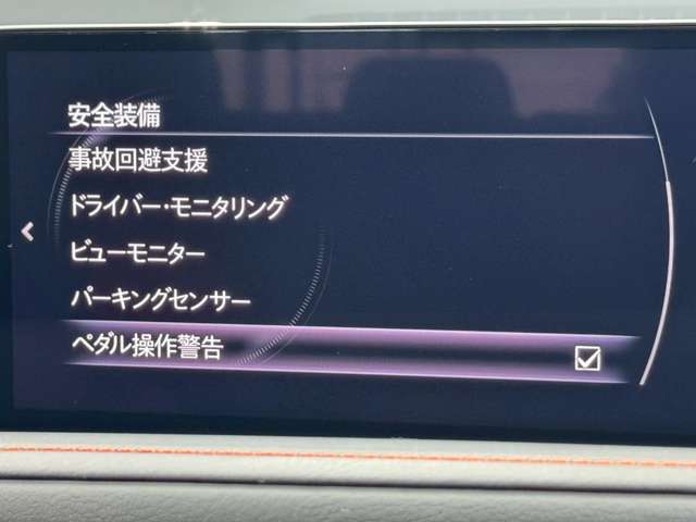 複数画像20
