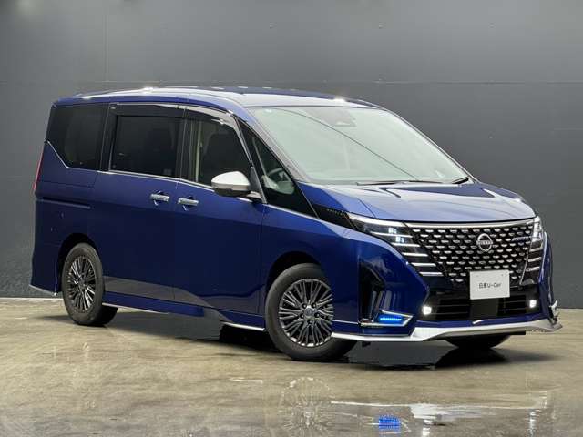 複数画像51
