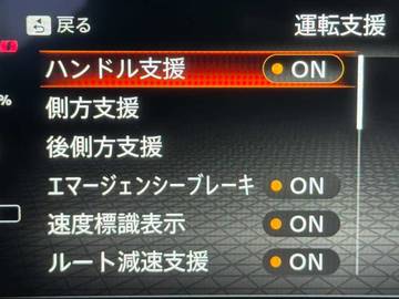 複数画像21
