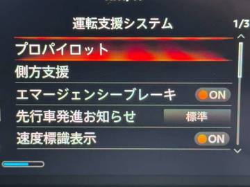 複数画像21