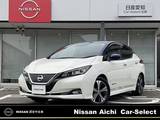 日産 リーフ G コネクトナビ　プロパイロット　寒冷地仕様