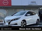 日産 リーフ X コネクトナビ　プロパイロット　寒冷地仕様