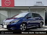 日産 リーフ X コネクトナビ　全方位カメラ　LEDライト