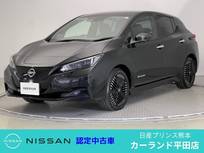日産 リーフ X Vセレクション ETC プロパイロット 全周囲カメラ