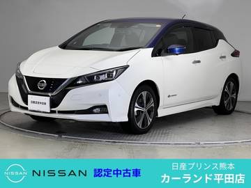 G ETC シートヒーター プロパイロット ステア