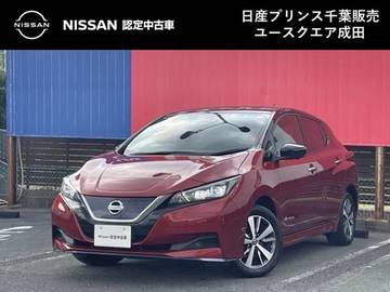 e+ X メーカーナビ　寒冷地仕様　プロパイロット