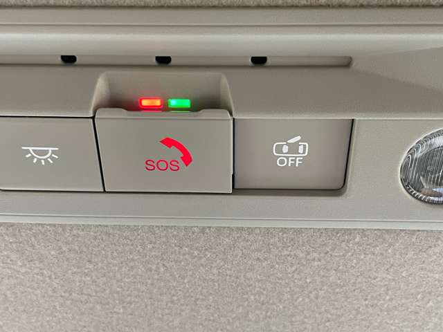 複数画像30