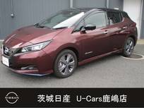 日産 リーフ e+ アーバンクロム プロパイロット/全方位モニタ/LEDライト