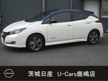 e+ アーバンクロム 62kWh プロパイロット　全席シートヒータ