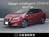 日産 リーフ e+ G 日産コネクトナビ・プロパイロット・アラウ