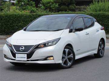 G ワンオ-ナ-車　12セグ　プロパイロット