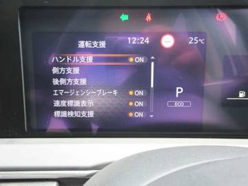 複数画像30