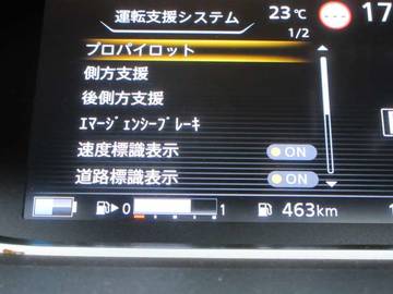複数画像41