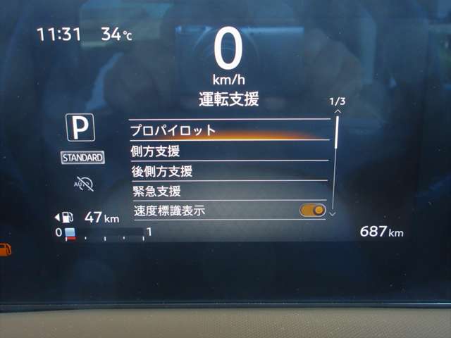複数画像31