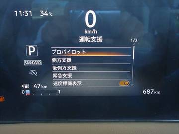 複数画像31