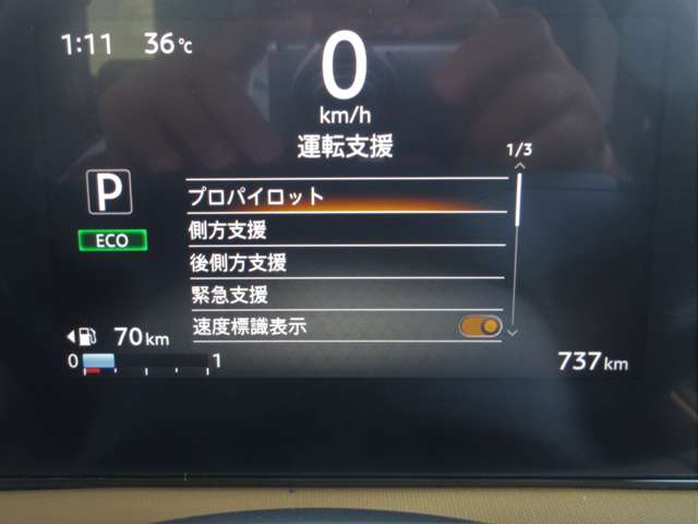 複数画像30