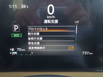 複数画像30