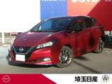 日産 リーフ e+ G 本革　プロパイロット　ナビ　AVM　ETC