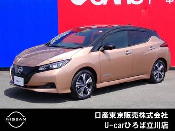 X Vセレクション 電気自動車　12セグ　純正メモリーナビ