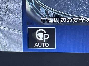 複数画像41