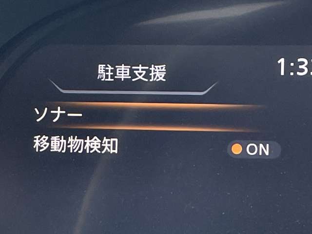 複数画像31