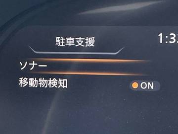 複数画像31