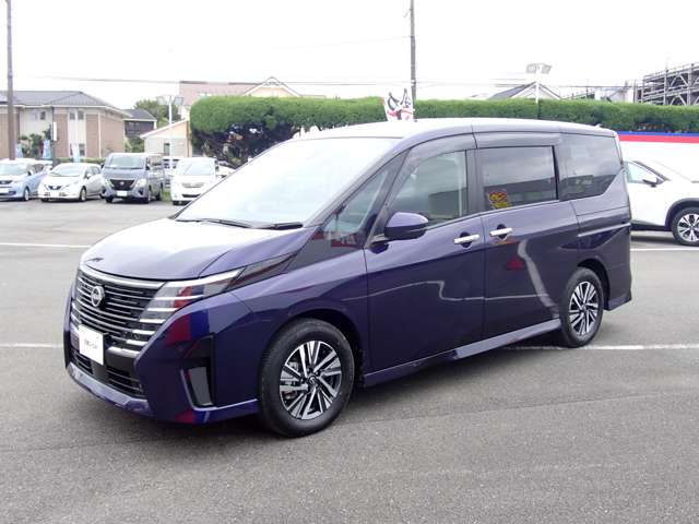 複数画像51