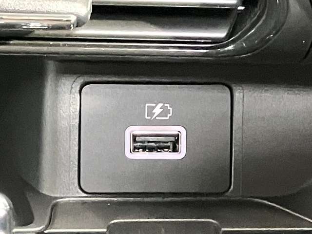 複数画像30