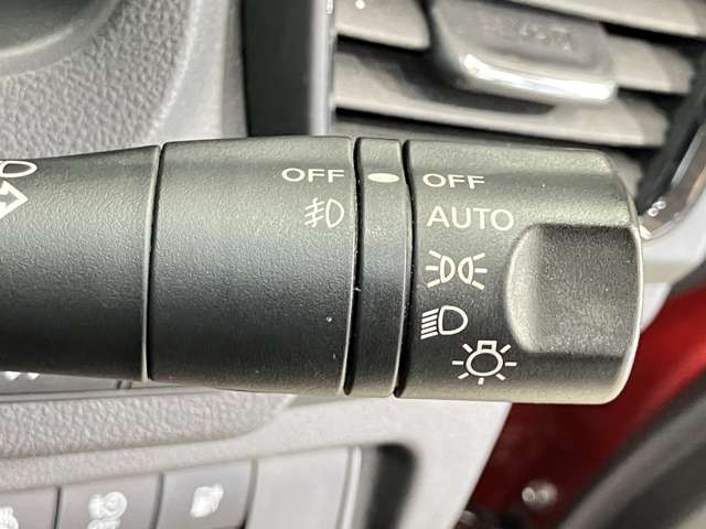 複数画像30
