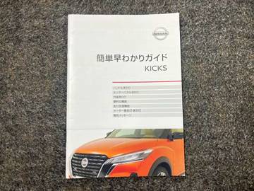 複数画像41