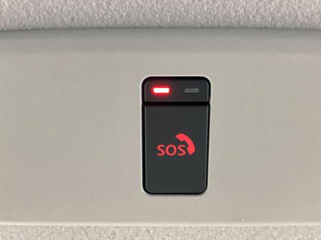 複数画像33
