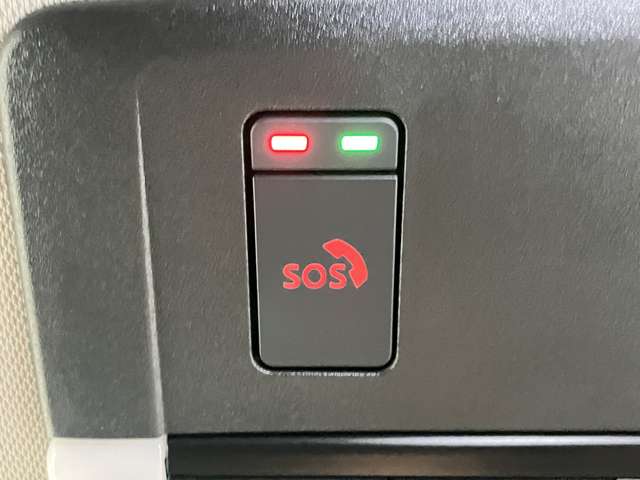 複数画像30