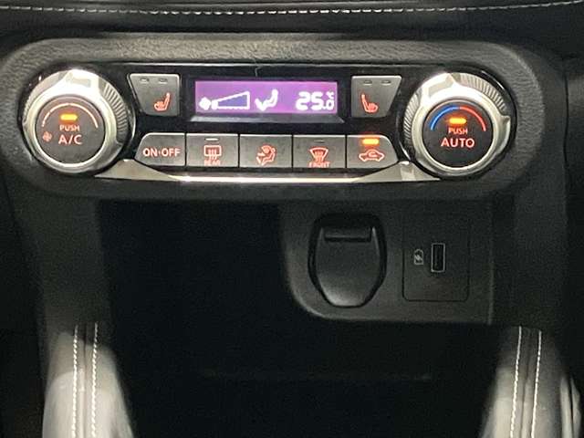 複数画像20