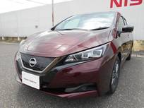 日産 リーフ アーバンクロム 40kWh　12セグ
