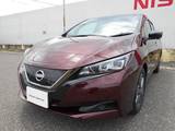 日産 リーフ アーバンクロム 40kWh　12セグ