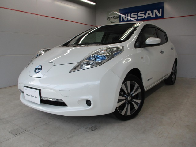 琉球日産自動車株式会社 名護店 沖縄県 リーフ 日産の在庫詳細から中古車を探す 日産公式中古車検索サイト