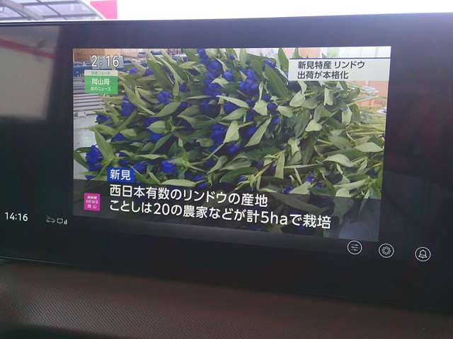 複数画像10