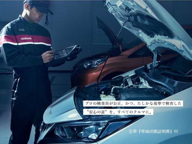 複数画像41