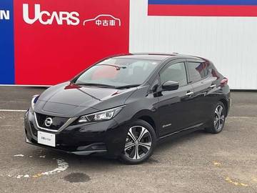 X 10万台記念車 プロパイロット メーカーナビ バックカメラ