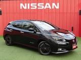 日産 リーフ e+ G 寒冷地　BOSEサウンド　プロパイロット