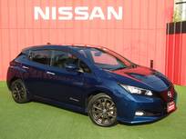 日産 リーフ e+ G プロパイロット・メーカーナビ・フルセグ・