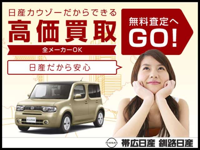 帯広日産自動車株式会社 ギャラリー２２店 北海道 ジューク 日産の在庫詳細から中古車を探す 日産公式中古車検索サイト