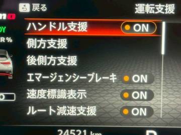 複数画像31