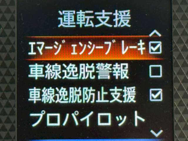 複数画像13